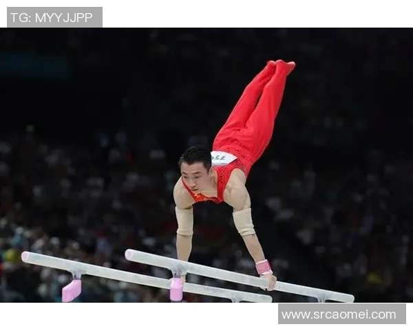 体操竞技的魅力与挑战：探索技术创新与训练方法的深度融合